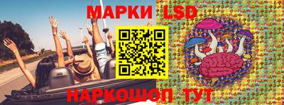 стафф Будённовск
