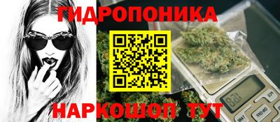 стафф Будённовск