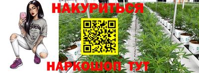 стафф Будённовск