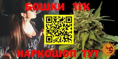 стафф Будённовск