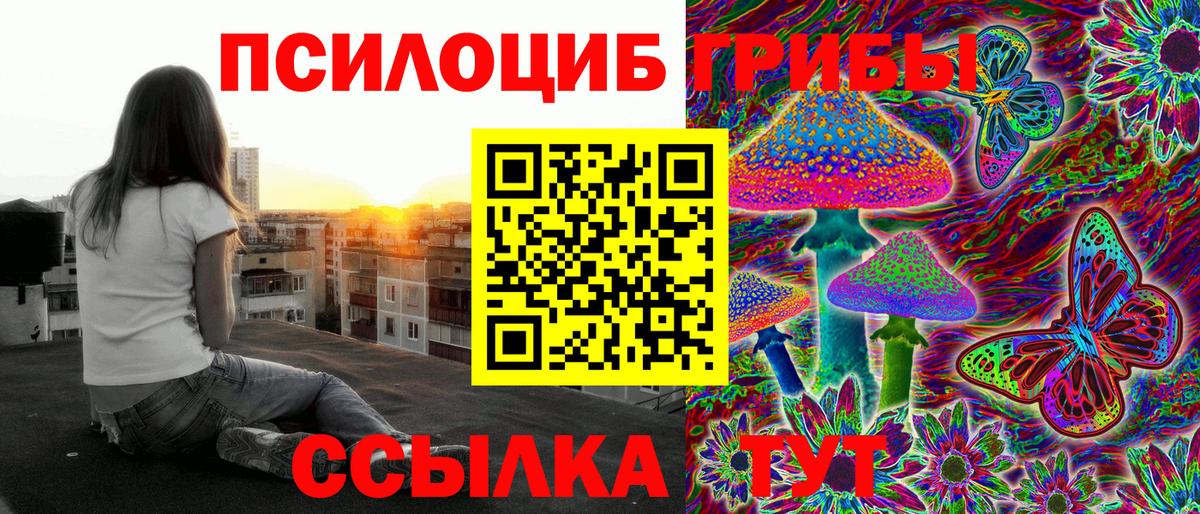 купить наркотики цена  Вход с VPN  Серов  Псилоцибиновые грибы GOLDEN TEACHER  Галлюциногенные грибы мухоморы 